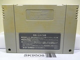 Dragon Quest V 5 Nintendo Super Famicom SNES Japan - SK9508