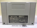 Chou Makaimura Ghouls 'n Ghosts Nintendo Super Famicom SNES Japan - SK9516
