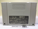 Chou Makaimura Ghouls 'n Ghosts Nintendo Super Famicom SNES Japan - SK9517