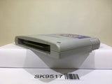 Chou Makaimura Ghouls 'n Ghosts Nintendo Super Famicom SNES Japan - SK9517