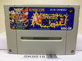 Chou Makaimura Ghouls 'n Ghosts Nintendo Super Famicom SNES Japan - SK9518