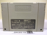 Chou Makaimura Ghouls 'n Ghosts Nintendo Super Famicom SNES Japan - SK9518