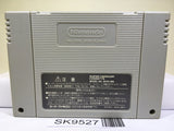 Rockman & Forte Megaman & Bass Nintendo Super Famicom SNES Japan - SK9527