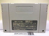 Aladdin Nintendo Super Famicom SNES Japan - SK9534