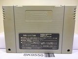 Super Mario Kart Nintendo Super Famicom SNES Japan - SK9550