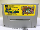 Super Mario World Nintendo Super Famicom SNES Japan - SK9557