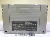 Super Mario World Nintendo Super Famicom SNES Japan - SK9557