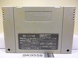 Super Mario World Nintendo Super Famicom SNES Japan - SK9558