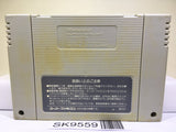 Super Mario World Nintendo Super Famicom SNES Japan - SK9559