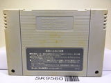 Super Mario World Nintendo Super Famicom SNES Japan - SK9560