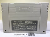 Yoshi no Road Hunting Yoshi's Safari Nintendo Super Famicom SNES Japan - SK9567