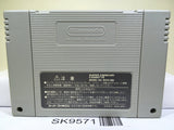Kirby 3 Kirby's Dream Land 3 Nintendo Super Famicom SNES Japan - SK9571