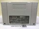 Super Donkey Kong Country 2 Nintendo Super Famicom SNES Japan - SK9575