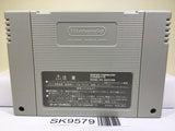 Super Donkey Kong Country 3 Nintendo Super Famicom SNES Japan - SK9579