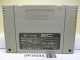 Art Of Fighting Nintendo Super Famicom SNES Japan - SK9585