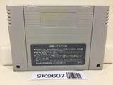 Sim Earth The Living Planet Nintendo Super Famicom SNES Japan - SK9607 - Photo 2