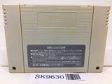 Lennus Paladin's Quest Nintendo Super Famicom SNES Japan - SK9630 - Photo 2