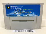 Pilotwings Nintendo Super Famicom SNES Japan - SK9649 - Photo 1