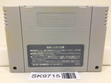 ActRaiser Nintendo Super Famicom SNES Japan - SK9715 - Photo 2