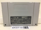 Super Donkey Kong Country 2 Nintendo Super Famicom SNES Japan - SK9719 - Photo 2