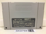 Super Nazo Puyo Rulue no Roux Puyo Puyo Super Famicom SNES Japan - SK9768 - Photo 2