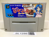 Super Nazo Puyo Rulue no Roux Puyo Puyo Super Famicom SNES Japan - SL1286 - Photo 1