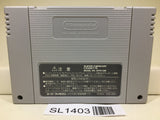 Super Donkey Kong Country 2 Nintendo Super Famicom SNES Japan - SL1403 - Photo 2
