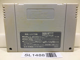 WWF Super WrestleMania Pro Wrestling Nintendo Super Famicom SNES Japan - SL1488 - Photo 2