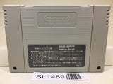 Super Fire Pro Wrestling Special Nintendo Super Famicom SNES Japan - SL1489 - Photo 2