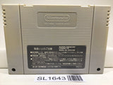 Hiryuu no Ken S Golden Fighter Nintendo Super Famicom SNES Japan - SL1643 - Photo 2