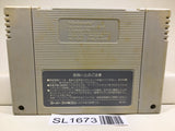 F Zero Nintendo Super Famicom SNES Japan - SL1673 - Photo 2