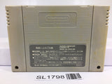 F1 Grand Prix Racing Nintendo Super Famicom SNES Japan - SL1798 - Photo 2