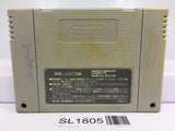 Street Fighter II 2 Nintendo Super Famicom SNES Japan - SL1805 - Photo 2