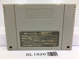 Sim Earth The Living Planet Nintendo Super Famicom SNES Japan - SL1826 - Photo 2