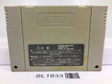 Daikaijuu Monogatari II 2 Nintendo Super Famicom SNES Japan - SL1833 - Photo 2