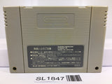 Hiryuu no Ken S Golden Fighter Nintendo Super Famicom SNES Japan - SL1847 - Photo 2
