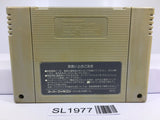 Sim City Nintendo Super Famicom SNES Japan - SL1977 - Photo 2