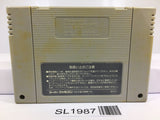 Torneco no Daibouken Nintendo Super Famicom SNES Japan - SL1987 - Photo 2