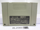 Super Donkey Kong Country Nintendo Super Famicom SNES Japan - SL2060 - Photo 2
