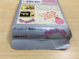UE8600 Kirby Kirby's Dream Land BOXED GameBoy Game Boy Japan
