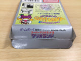 UE8604 Super Mario Land 3 Wario Land BOXED GameBoy Game Boy Japan