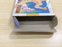UE8619 Glory of Heracles BOXED NES Famicom Japan