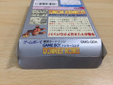 UE8745 Donkey Kong BOXED GameBoy Game Boy Japan