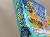 UE8749 The Legend of Zelda Oracle of Ages BOXED GameBoy Game Boy Japan