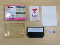 UE8966 Crash 'n' the Boys KUNIO NEKKETSU SHINKIROKU BOXED NES Famicom Japan