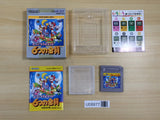 UE8977 Super Mario Land 2 6 Golden Coins BOXED GameBoy Game Boy Japan