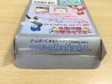 UE8983 Kaeru no Tame ni Kane wa Naru BOXED GameBoy Game Boy Japan