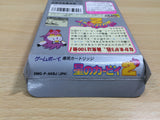 UE8984 Kirby 2 Kirby's Dream Land BOXED GameBoy Game Boy Japan