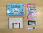 UE8989 Made in Wario Mario BOXED GameBoy Advance Japan