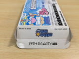 UE8989 Made in Wario Mario BOXED GameBoy Advance Japan